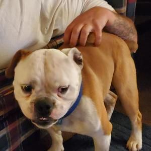 Meet your Posher, Billy